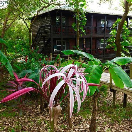 Upachaya Eco-Lodge & Wellness Resort Mud Hole 외부 사진