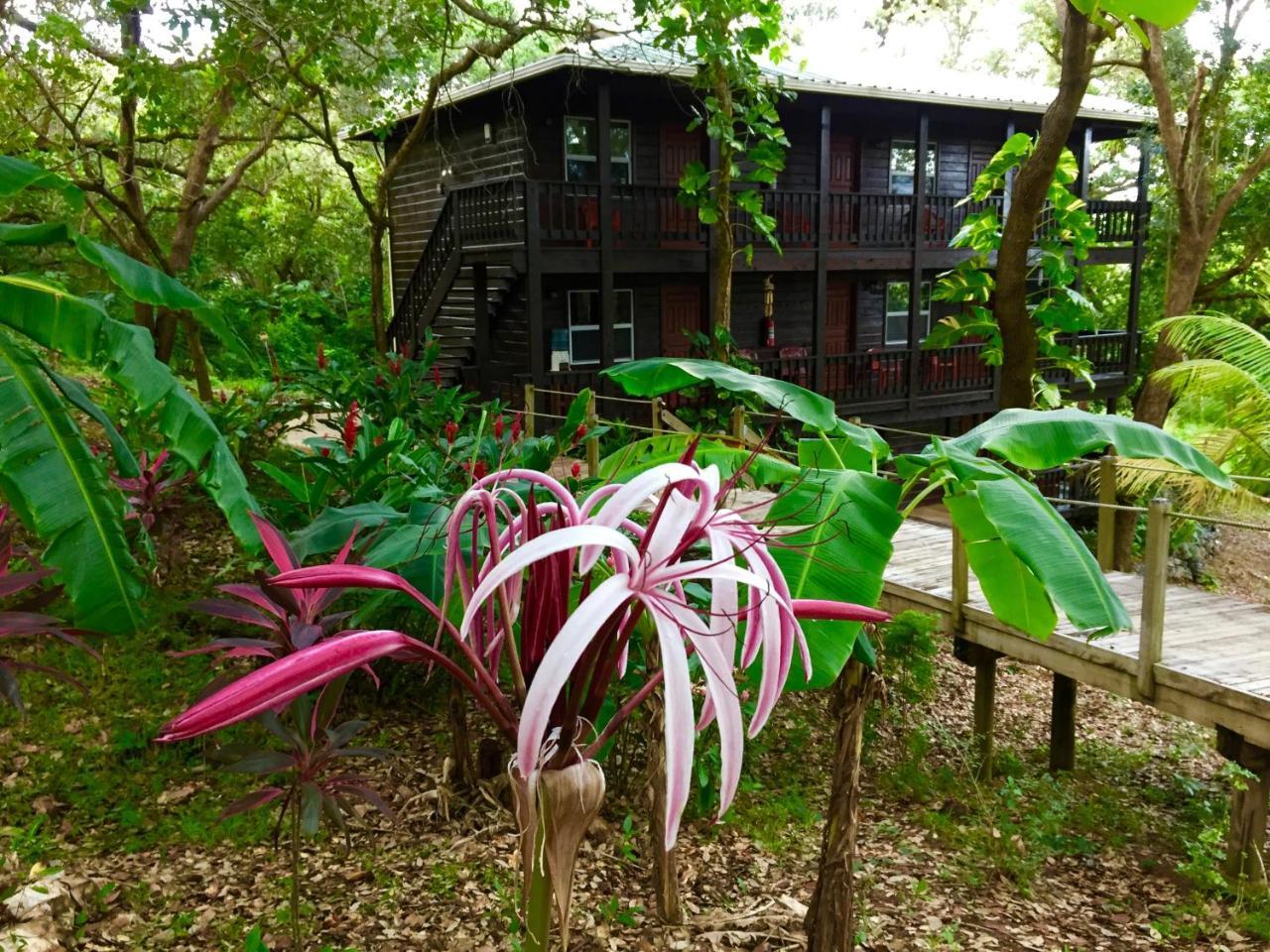 Upachaya Eco-Lodge & Wellness Resort Mud Hole 외부 사진